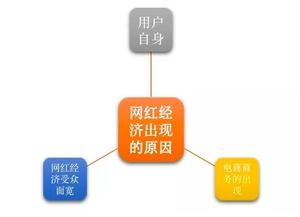 網(wǎng)紅農(nóng)產(chǎn)品品牌運(yùn)營(yíng)發(fā)展報(bào)告（中篇） 網(wǎng)紅為什么這樣紅——營(yíng)銷企劃與市場(chǎng)引爆之道